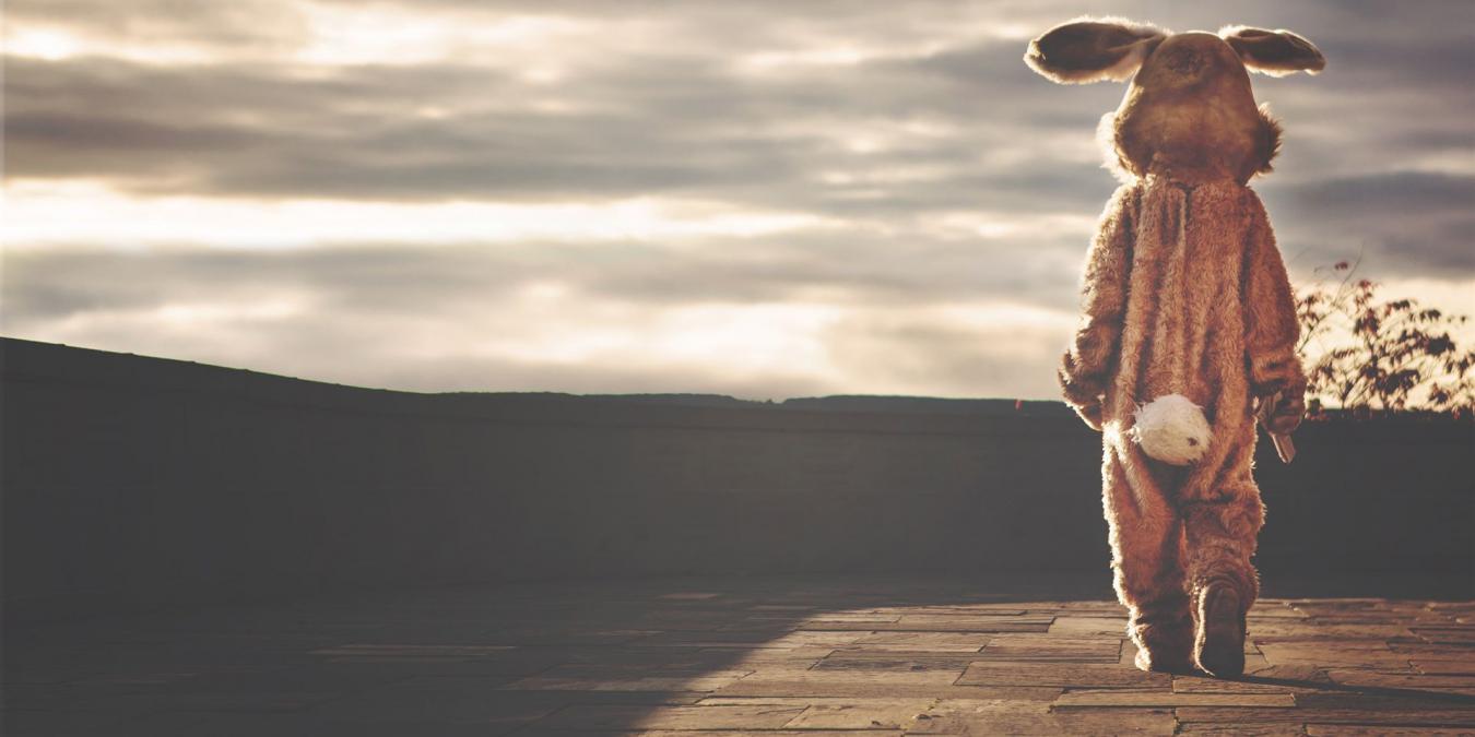 hase, kostüm, tier, ostern, wunderlich, lustig, pelz, individuell, individualität, schwanz, braune tiere, braun lustig, brown rabbit, natur, brown bunny, ostern, ostern, ostern, ostern, ostern